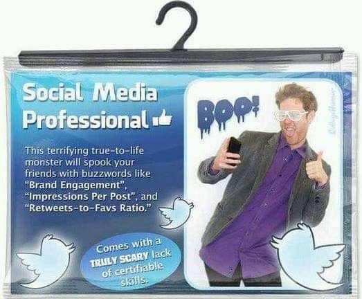 Social Media Professional
